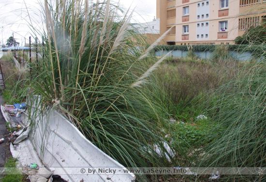 Le Parking des Esplageolles - Photos du 15/01/2020