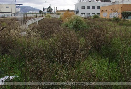 Le Parking des Esplageolles - Photos du 15/01/2020