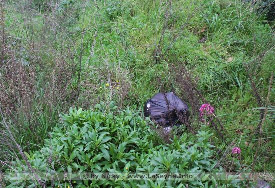 Le Parking des Esplageolles - Photos du 15/01/2020