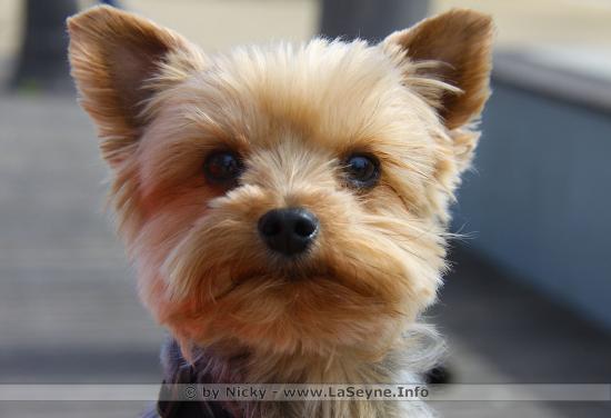 L'Ami Haribo et Miss Pin'up