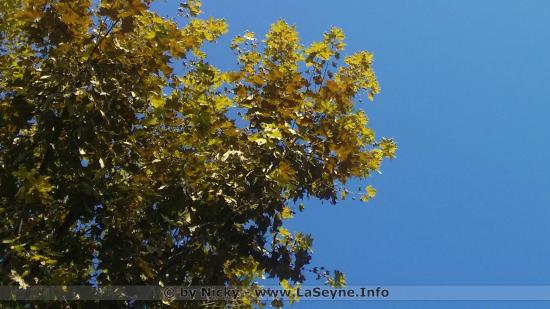 Le Marche de La Seyne 04-09-2018 à 10h36