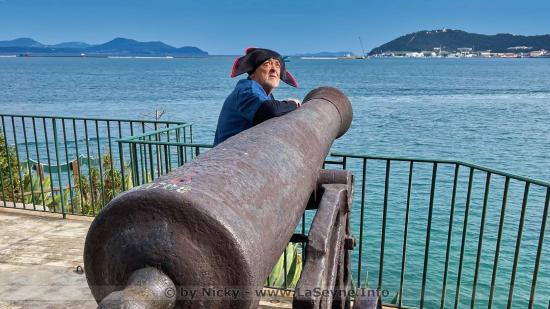 Rene Raybaud ... Napoleon au Fort Balaguer
