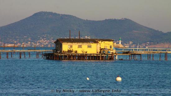 Tamaris sur Mer - 23/10/2018