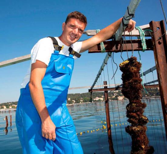 Ostréiculture: Les Perles de La Seyne-sur-Mer de Jean-Christophe Giol
