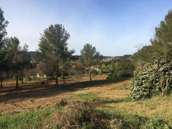 Le terrain concerné, tel qu'il est visible actuellement depuis le chemin Fernand-Bonifay Photo Ma. D.