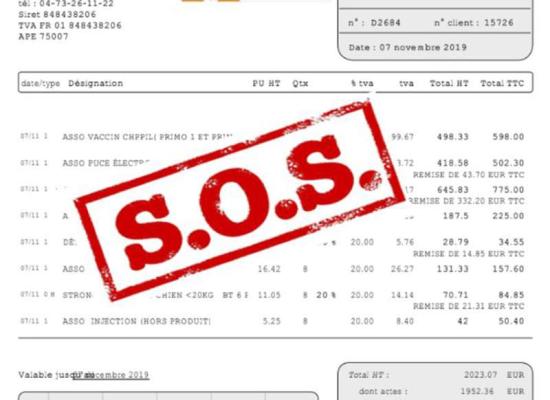 SOS 15 CHIENS MALTRAITES et MAL TRAITES