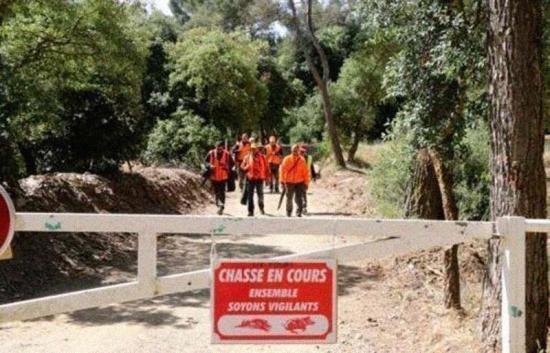 Stop aux battues incessantes et à la barbarie dans la forêt de Janas
