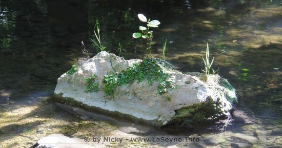 #Coronavirus #Covid19: Prolongation d’Interdiction d’Accès à certains Espaces naturels et aux Massifs forestiers, d’Accè