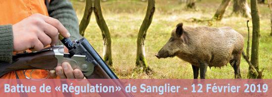 Battue de Régulation de Sanglier, le 12 Février 2019