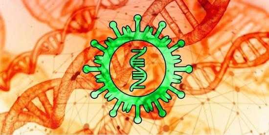 Coronavirus: Quelle Organisation en Région Provence-Alpes-Côte d’Azur pour faire Face à une éventuelle Epidémie ?