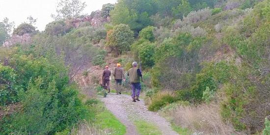Des Chasseurs tirent à 10 Mètres d'une Randonneuse à Janas, ce Jeudi 23/11/2021