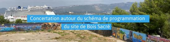 Concertation autour du Schéma de Programmation du Site de Bois-Sacré, le 27/01/2022