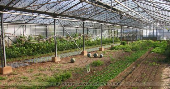 #Coronavirus #Covid19: Plan de Soutien de l'Agriculture