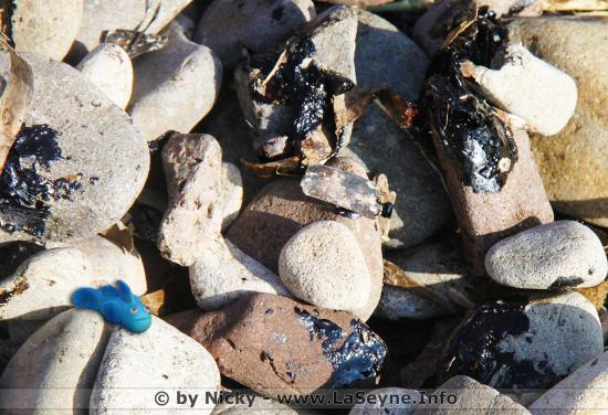 POLMAR Terre La Seyne