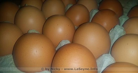 Attention Salmonelles: 500'000 Oeufs rappelés