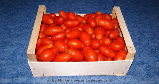 La Tomate San Marzano -