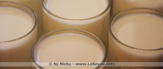 Yaourt nature fait Maison