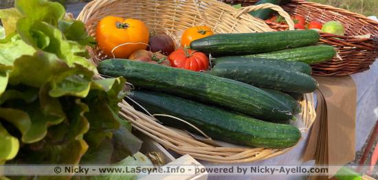 griculture/Prefecture: Premier Groupe de Travail sur les Simplifications administratives