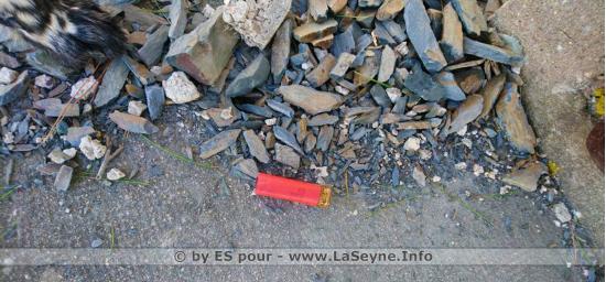 Battue de Régulation du Sanglier, le Mardi 10 Décembre 2019 au Massif du Cap Sicié