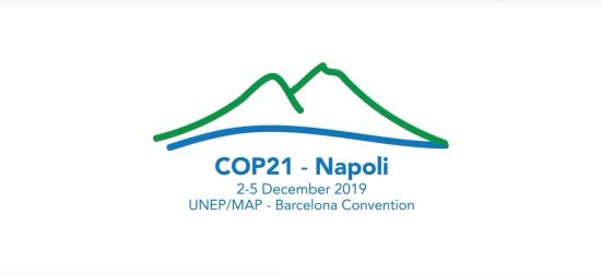 Cop21 à Naples: La France salue l’Engagement de tous les Pays méditerranéens pour une Zone à faibles Emissions en Médit