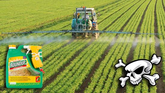 Monsanto représente un lobby absolument énorme à Bruxelles