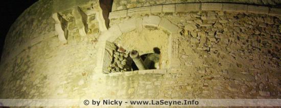 Fermeture exceptionnelle du Musée Balaguier