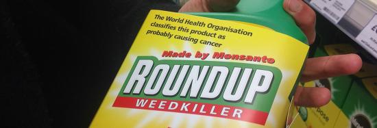 Monsanto condamné à verser deux Milliards de Dollars à un Couple d'Américains atteints d'un Cancer attribué au Roundup
