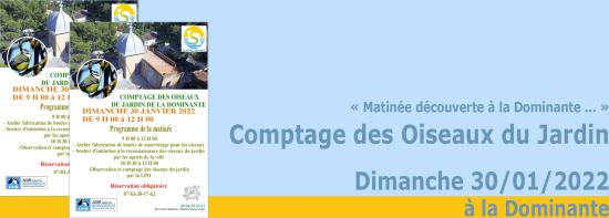 Matinée découverte: Comptage des Oiseaux du Jardin de la Dominante, le Dimanche 30/01/2022
