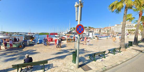 Var: Débarquement illégal d’une Tonne de Thon rouge et autres Poissons à Sanary