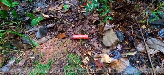 Tirs de Régulation du Sanglier, Mardi 26 Novembre 2019, Secteurs Les Gabrielles/Périmétrale