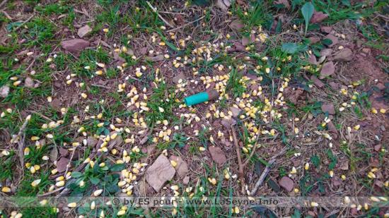 Chasseurs Seynois 11/02/2020 Chasseurs Seynois 11/02/2020