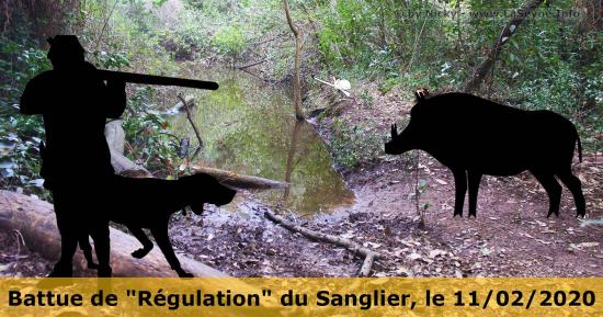 Battue de Régulation du Sanglier, le 11 Février 2020 Battue de Régulation du Sanglier, le 11 Février 2020