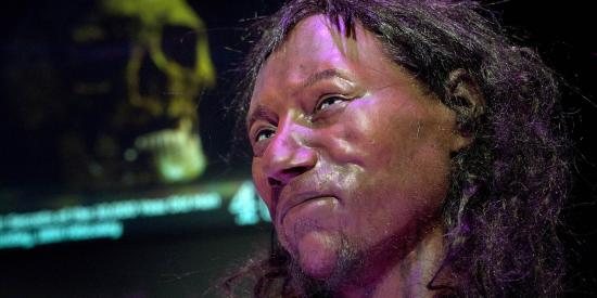 Cheddar Man - le premier homme britannique Cheddar Man - le premier homme britannique