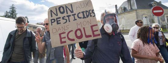 Une manifestation contre l'utilisation des pesticides, à Listrac-medoc, le 8 octobre 2017. (MAXPPP) Une manifestation contre l'utilisation des pesticides, à Listrac-medoc, le 8 octobre 2017. (MAXPPP)