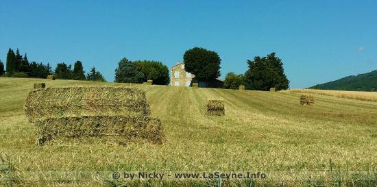 #Coronavirus #Covid19: Les Chefs d’Exploitation associés en GAEC éligibles au Fonds de Solidarité pourront déposer une D #Coronavirus #Covid19: Les Chefs d’Exploitation associés en GAEC éligibles au Fonds de Solidarité pourront déposer une D