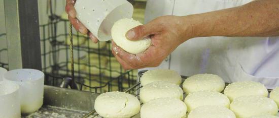 Rappel de Fromages Saint-Félicien et Saint-Marcellin au Lait cru produits par « La Fromagerie Alpine » Rappel de Fromages Saint-Félicien et Saint-Marcellin au Lait cru produits par « La Fromagerie Alpine »