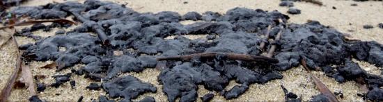 Des Boulettes d'Hydrocarbure arrivent à La Seyne: Les Plages fermées Des Boulettes d'Hydrocarbure arrivent à La Seyne: Les Plages fermées