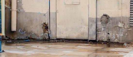 Vidéo: Des Problèmes de Rats à La Seyne et personne pour agir Vidéo: Des Problèmes de Rats à La Seyne et personne pour agir