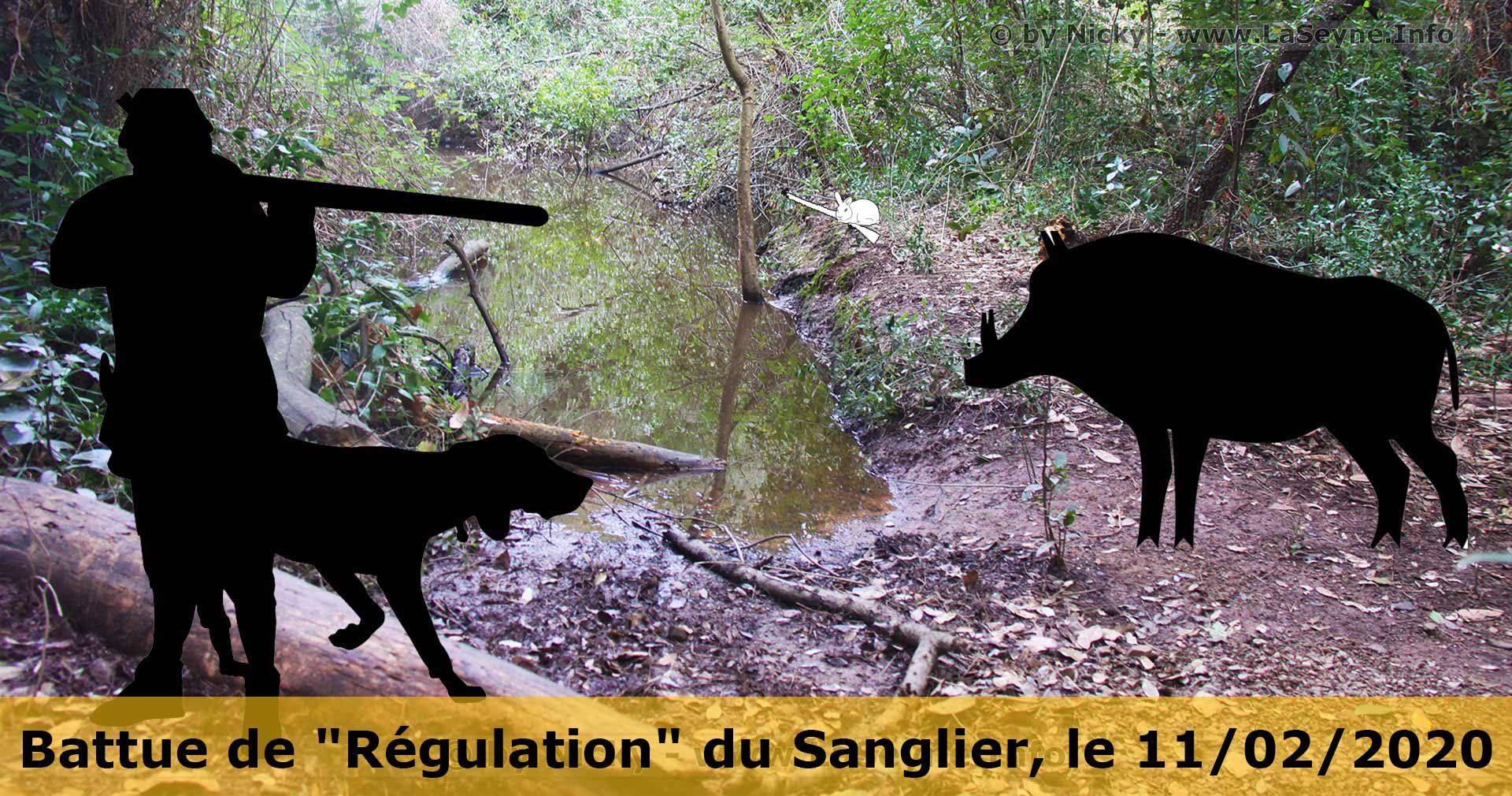 Battue de "Régulation" du Sanglier, le 11 Février 2020 - Battue de "Régulation" du Sanglier, le 11 Février 2020 -